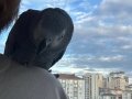 50-60 kelimeli jako 4 yaşında