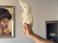 Ful evcil Gül kakadu ve ful evcil Ducops Kakadu ek15 belgeli