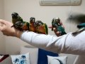 El besleme konur bebekler tüy tozu olmaz alerji sebep olmaz