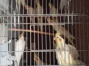 Lütfen açıklamayı okuyup iletişime geçin