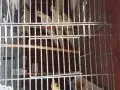 Lütfen açıklamayı okuyup iletişime geçin
