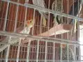 Lütfen açıklamayı okuyup iletişime geçin