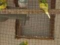 2- 3 aylik sağlikli ev üretimim olan muhabbet kuşlarim satil
