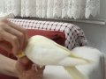 Kendi kuşumun yavruları alın kendinize alıştırın