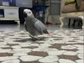 ÜST DÜZEYDE KONUŞAN ERKEK JAKO.