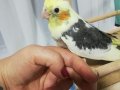 Yeni yeme düşen çift bebeklerimiz