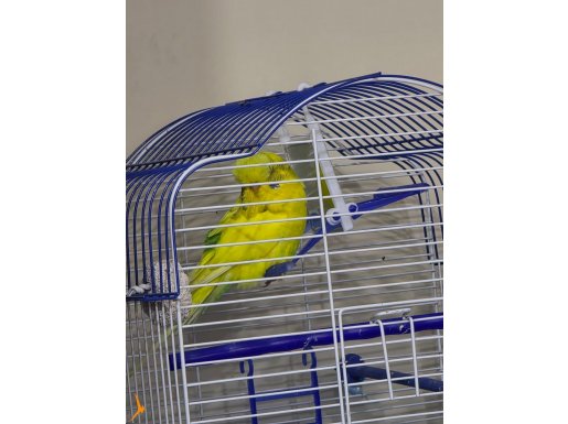 9 AYLIK ERKEK JUMBO HER ŞEY DAHİL