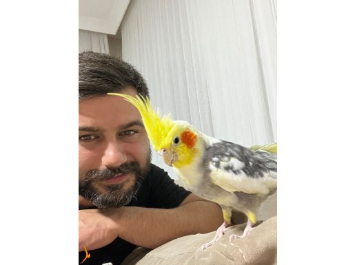 1 Yaşında Erkek Isırması Yoktur 