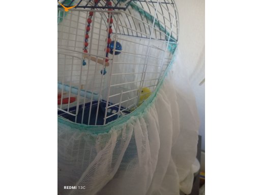 Artık ihtiyacım yok ve kafes ile birlikte 