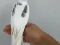  Heavy Pereal Zincir Erkek Yavru 