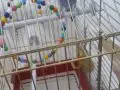Tüm eşyaları fiyata dahildir
