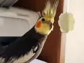 Bakımlı erkek, tüm malzemeleriyle
