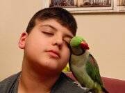 Uysal isirmasi hirlamasi yok ele omuza gelir kendini opturur