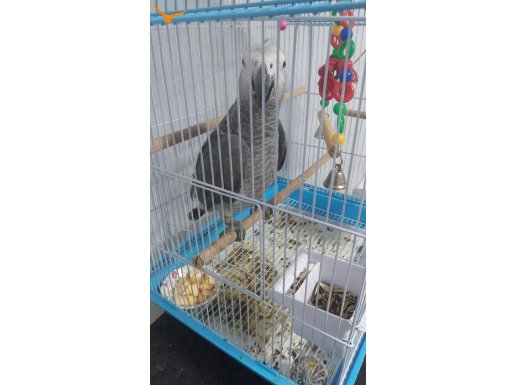 1 yaşında bebek jako 