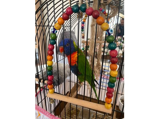 15 kelime konuşan omuzdan inmeyen oyuncu 