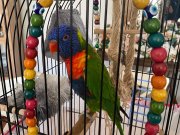 15 kelime konuşan omuzdan inmeyen oyuncu 