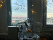 Çift sultan papağanı kafesi ve yemleri 