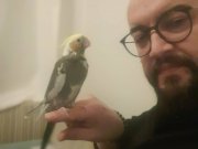 Yavru Sultan Papağan - Elle besleme ve özel bakım