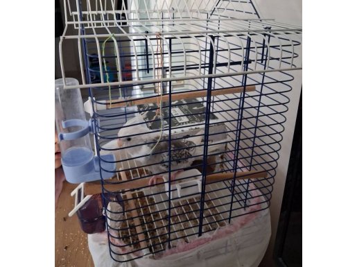 5 aylık çok numaracı