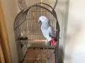 Jako 2 yaşında