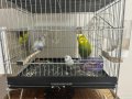 İSTEYENE YAVRULARLA BERABER İSTEYENE DAMIZLIK TAKIM 