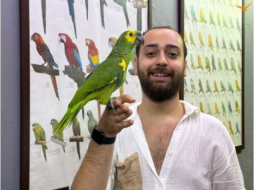 ÜST DÜZEY BLUEFRONT AMAZON PAPAĞANIMIZ