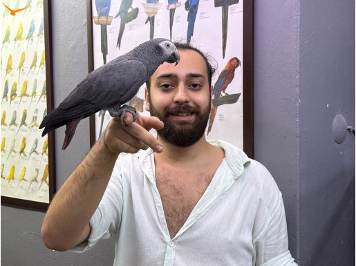 70 KELİME KONUŞAN JAKO PAPAĞANIMIZ