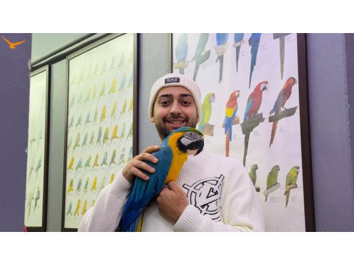 SARILACİVERT FULL EĞİTİMLİ KONUŞAN MACAW PAPAĞANIMIZ