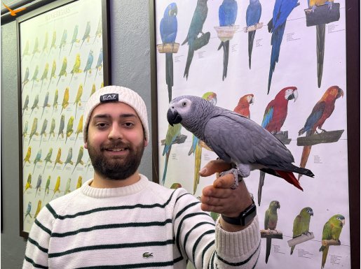 100 KELİME ÜST DÜZEY KONUŞAN EĞİTİMLİ JAKO PAPAĞANI