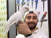 ÇOK EVCİL KONUŞAN GOFFİN KAKADU PAPAĞANIMIZ