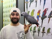 6 AYLIK BEBEK FULL EĞİTİMLİ JAKO PAPAĞANIMIZ