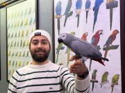 100 KELİME ÜST DÜZEY KONUŞAN EĞİTİMLİ JAKO PAPAĞANI