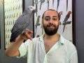 200 KELİME ÜZERİ KONUŞAN FULL EVCİL JAKO PAPAĞANI