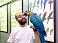 FULL EVCİL EĞİTİMLİ KONUŞAN MACAW PAPAĞANIMIZ