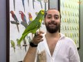 ÜST DÜZEY BLUEFRONT AMAZON PAPAĞANIMIZ
