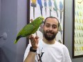 FULL EVCİL KONUŞAN SARI ALIN AMAZON PAPAĞANIMIZ 