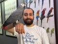 GEVEZE ÇOK KONUŞAN JAKO PAPAĞANI