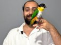 Oyuncu Caique papağanı Full eğitimli evcil
