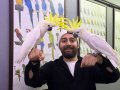 DEV BOYLU EĞİTİMLİ KONUŞAN SÜLFÜR KAKADU PAPAĞANI