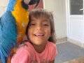 EL BESLEME BEBEK MACAW
