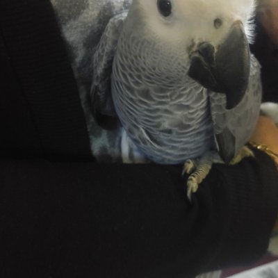 BOGAZICIPETSHOP